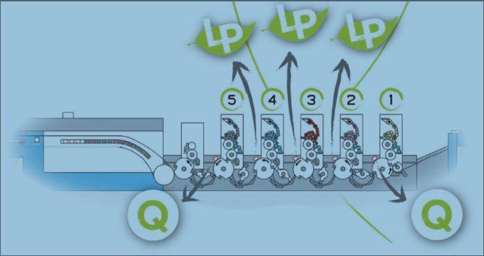 esempio layout q lp